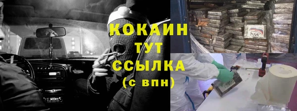 гидропоника Горнозаводск