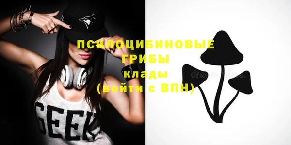 марки nbome Горняк