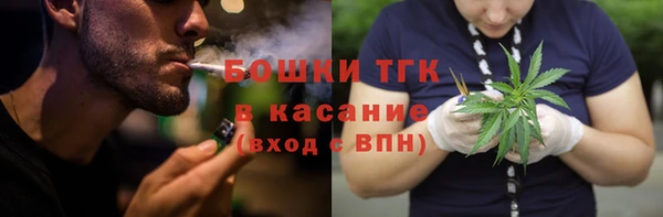 гидропоника Горнозаводск