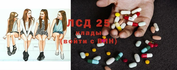 гидропоника Горнозаводск